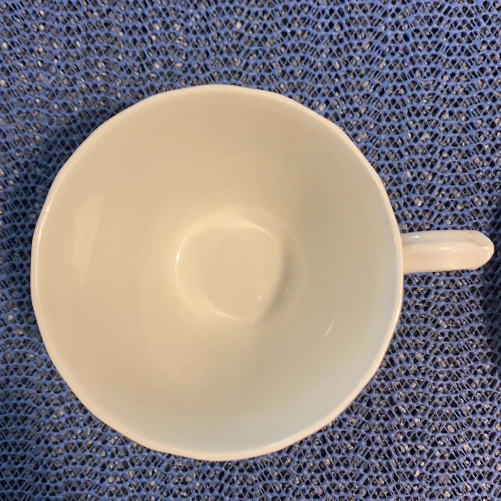 Burleigh Ware Fruit Decorated Cup Saucer Ironstone